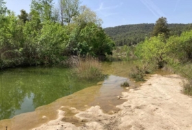 Arens de Lledó 35878&nbsp;м²