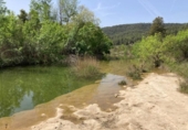 Detached villa with land for sale on España, Arens de Lledó, ref: TR408169 photo
