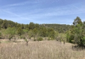 Detached villa with land for sale on España, Arens de Lledó, ref: TR408169 photo