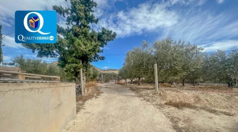Alicante - Muchamiel - 5000m2