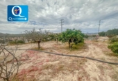 Terreny no urbanitzable en venda a la España, Mutxamel, ref.: TR250353 foto