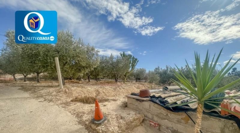 Alicante - Muchamiel - 5000m2