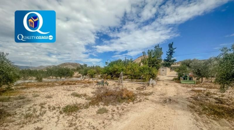 Alicante - Muchamiel - 5000m2