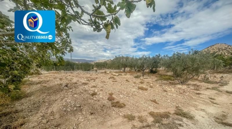 Alicante - Muchamiel - 5000m2