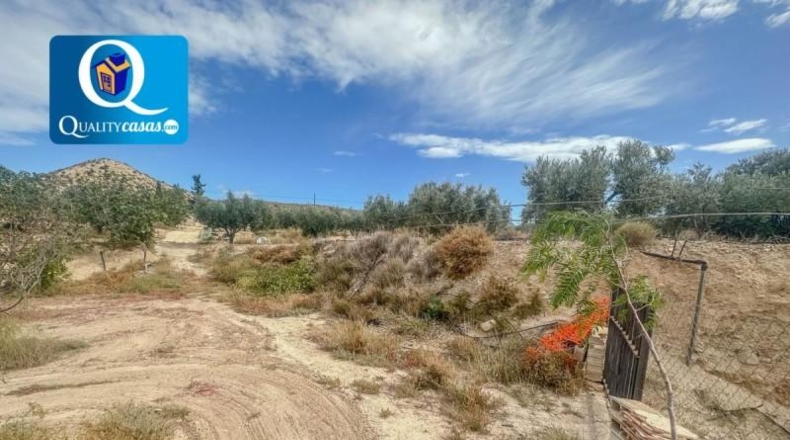 Alicante - Muchamiel - 5000m2