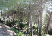 Urban land for sale on España, Oliva, ref: TR341046 photo