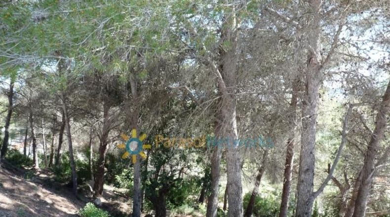 Valencia - Oliva - 628m2