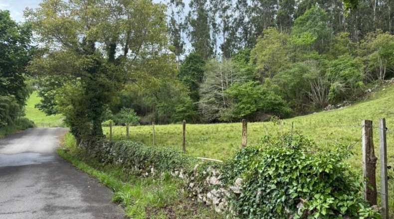 Cantabria - Roiz - 1654m2
