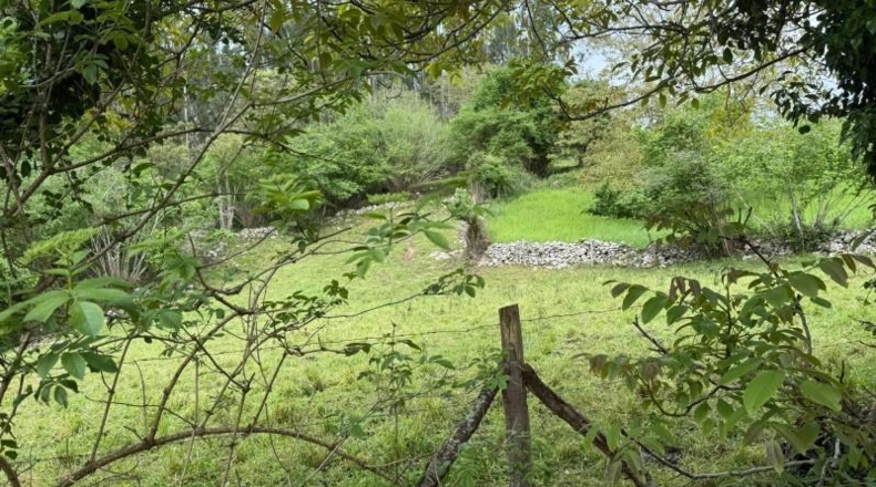 Cantabria - Roiz - 1654m2