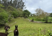 Non-developable land for sale on España, Roiz, ref: TR408183 photo