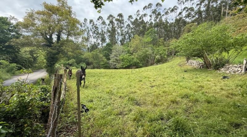 Cantabria - Roiz - 1654m2