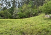 Non-developable land for sale on España, Roiz, ref: TR408183 photo