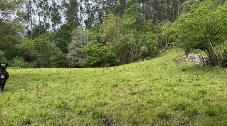Cantabria - Roiz - 1654m2