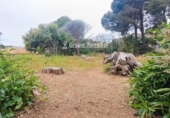 Sòl urbà en venda a la España, Calafell, ref.: TR408187 foto