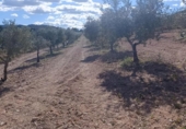 Terreno no urbanizable en venta en la España, Molina de Segura, ref: TR408186 foto