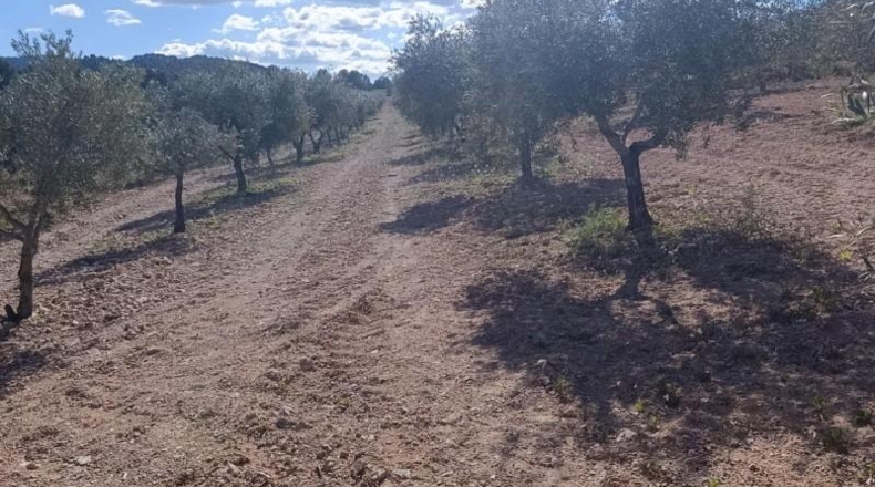 Murcia - Molina de Segura - 80000m2