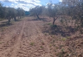 Terreno no urbanizable en venta en la España, Molina de Segura, ref: TR408186 foto
