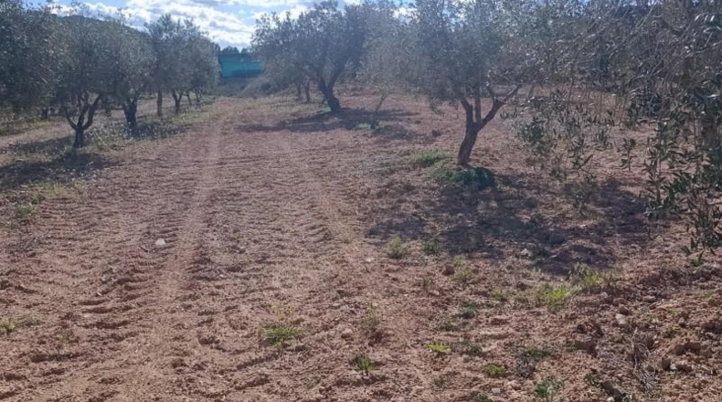 Murcia - Molina de Segura - 80000m2