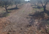Terreno no urbanizable en venta en la España, Molina de Segura, ref: TR408186 foto