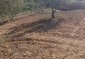 Terreno no urbanizable en venta en la España, Molina de Segura, ref: TR408186 foto