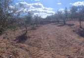 Terreno no urbanizable en venta en la España, Molina de Segura, ref: TR408186 foto