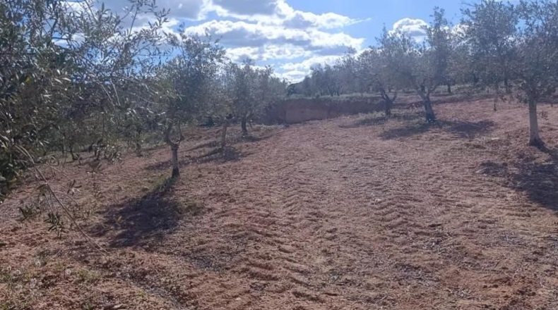Murcia - Molina de Segura - 80000m2