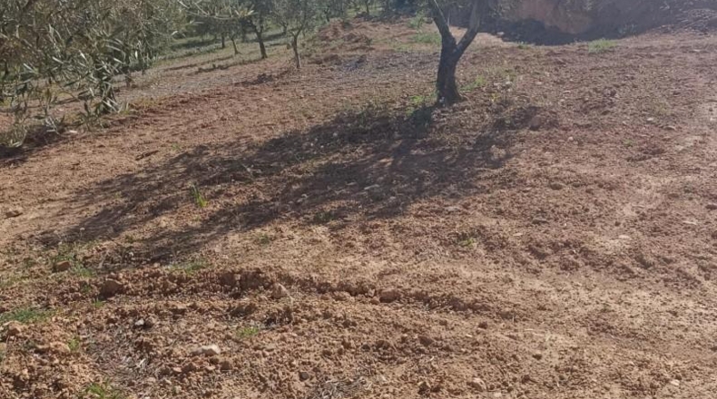 Murcia - Molina de Segura - 80000m2