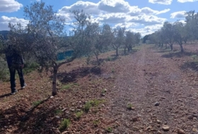 Foto 12