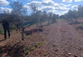 Terreno no urbanizable en venta en la España, Molina de Segura, ref: TR408186 foto