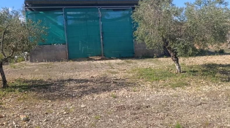 Murcia - Molina de Segura - 80000m2