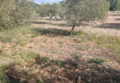 Terreno no urbanizable en venta en la España, Molina de Segura, ref: TR408186 foto