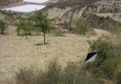 Casa de camp amb terreny en venda a la España, Ugíjar, ref.: TR135372 foto