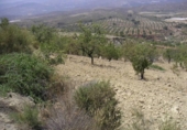 Casa de camp amb terreny en venda a la España, Ugíjar, ref.: TR135372 foto