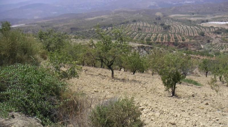 Granada - Ugíjar - 400m2