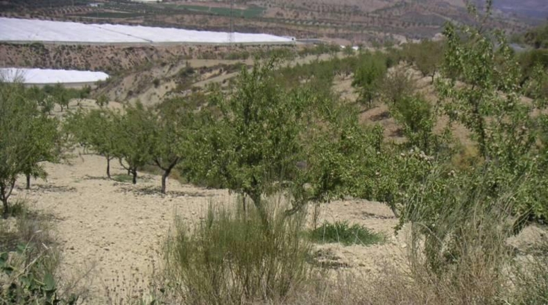 Granada - Ugíjar - 400m2