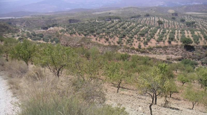 Granada - Ugíjar - 400m2