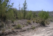 Casa de camp amb terreny en venda a la España, Ugíjar, ref.: TR135372 foto