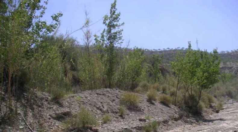 Granada - Ugíjar - 400m2