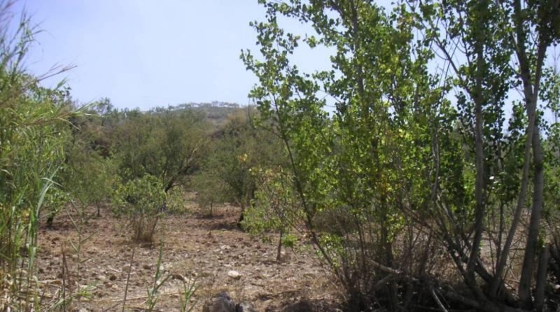 Granada - Ugíjar - 400m2