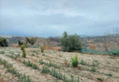 Casa de camp amb terreny en venda a la España, Ugíjar, ref.: TR135372 foto