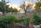Casa de camp amb terreny en venda a la España, Alcolea, ref.: TR385136 foto