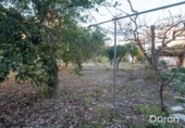 Casa de camp amb terreny en venda a la España, Alcolea, ref.: TR385136 foto
