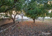 Casa de camp amb terreny en venda a la España, Alcolea, ref.: TR385136 foto