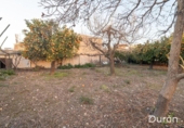 Casa de camp amb terreny en venda a la España, Alcolea, ref.: TR385136 foto