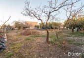Casa de camp amb terreny en venda a la España, Alcolea, ref.: TR385136 foto