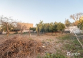 Casa de camp amb terreny en venda a la España, Alcolea, ref.: TR385136 foto