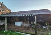 Xalet independent amb terreny en venda a la España, Chaves, ref.: TR173814 foto