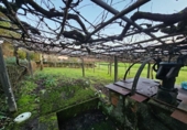 Xalet independent amb terreny en venda a la España, Chaves, ref.: TR173814 foto