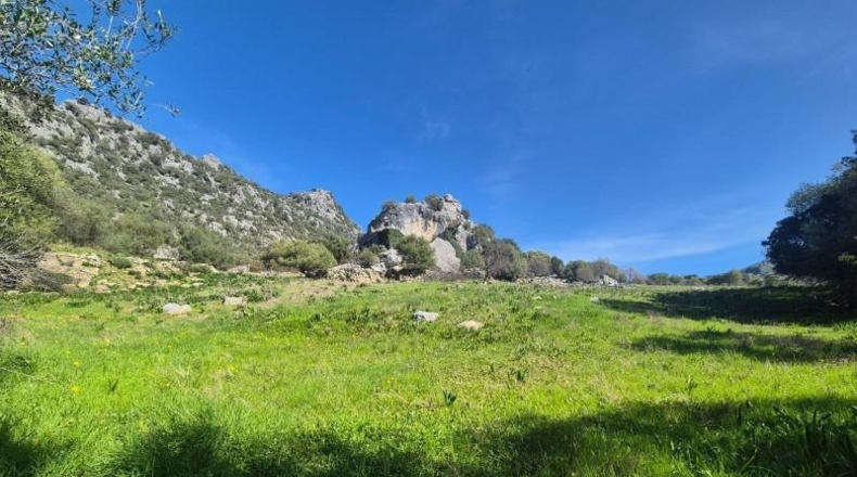 Cádiz - Benaocaz - 38000m2