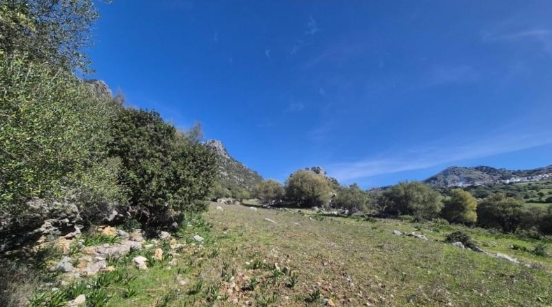Cádiz - Benaocaz - 38000m2